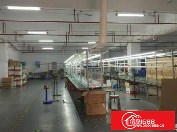 出租大型工业园一棂厂房可进大车价格可谈配套成熟交通方便