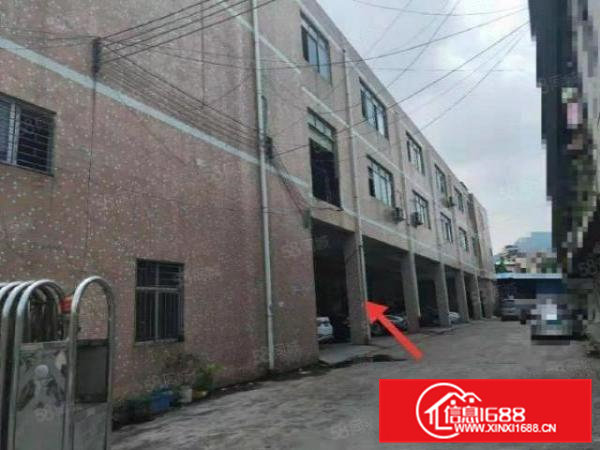 杨屋空出原房东1楼800平方厂房分租无公摊现成地坪漆