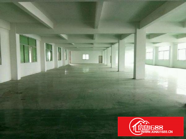 龙岗坪地坪西独院厂房可分租