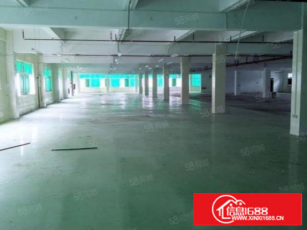 塘厦清湖头独院出租6500平方！面积实在！可分租！带装修