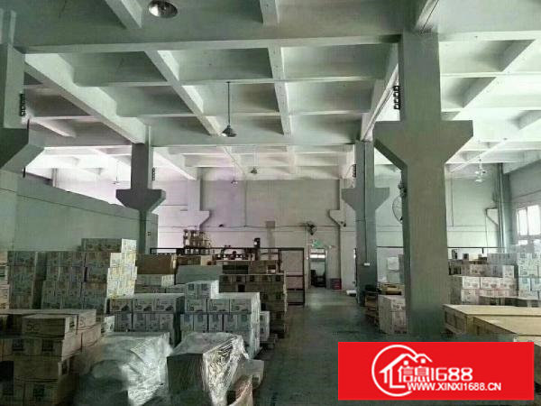 出租！坑梓一楼标准厂房6.5米高，仅此一家