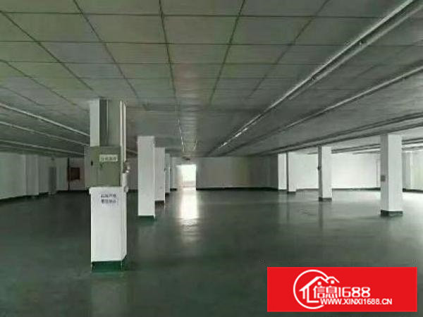 凤岗雁田工业园2200平米精装修厂房出租水电按需