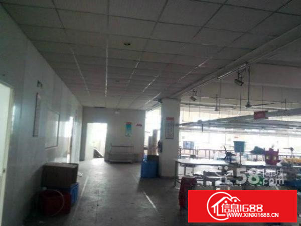 坂田地铁口新出一楼600平适合仓库办公展厅