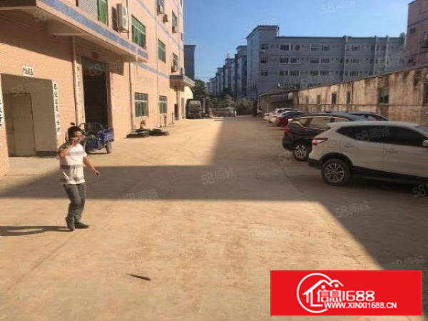 茶山原房东带牛角独院标准厂房，带消防喷淋，现成水电，拎包入住