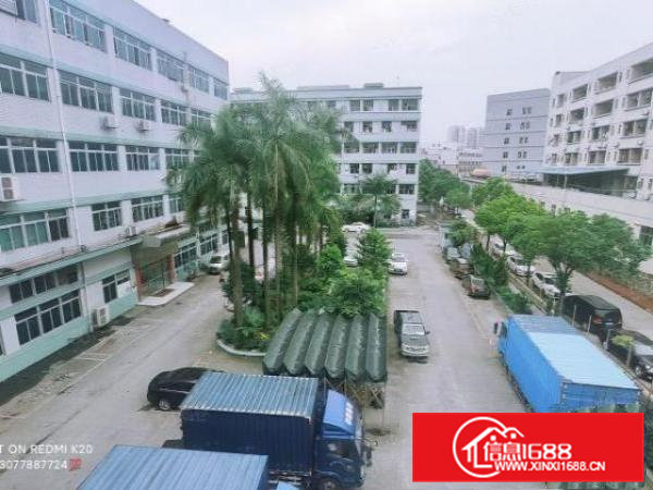 凤岗雁田楼上750平方精装修厂房出租