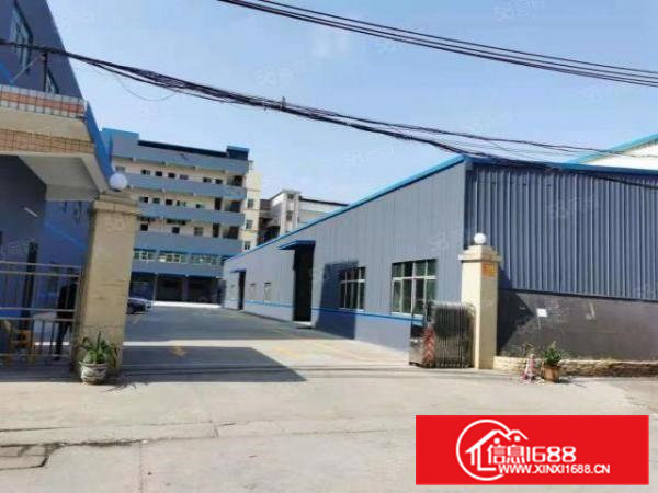 横沥成熟工业区出租标准厂房1200平方一楼7米可办环评