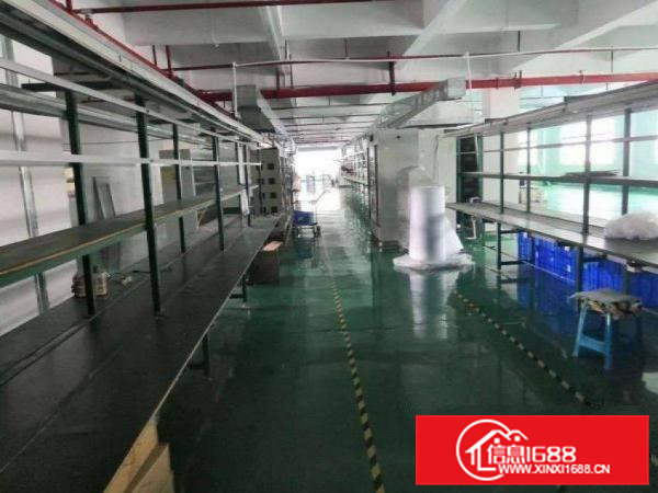 新四红本厂房，有喷淋，1000平方，合适电子行业！