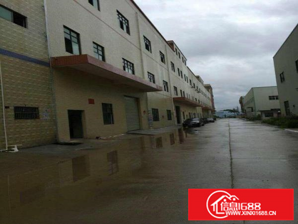 陈江镇原房东独门独院3900平出租大小可分租