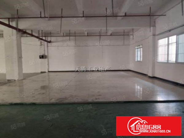 天富来带简易装修650方，直租直接用，省时间省钱