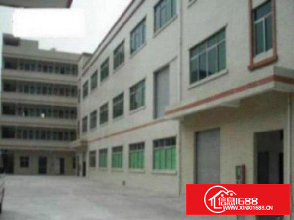 万江石美带现成办公室标准一楼1000平方急租形象好交通方便