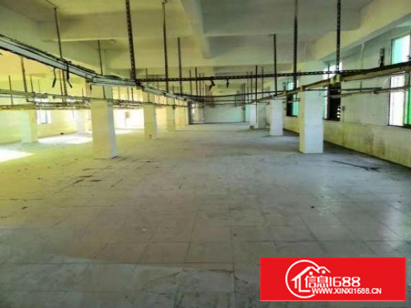 万江花园式厂房分租一楼1100平方;地段好