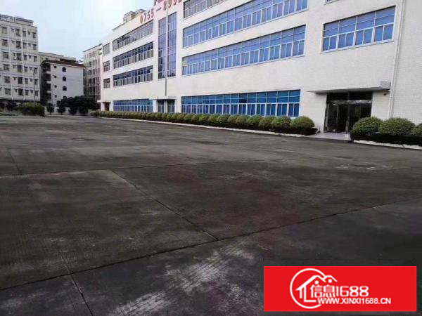 龙岗坪地中心段红本厂房钢构12米可做篮球场羽毛球场空地大