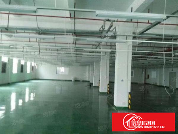 塘厦近深圳原房东二楼1200平方带装修急租