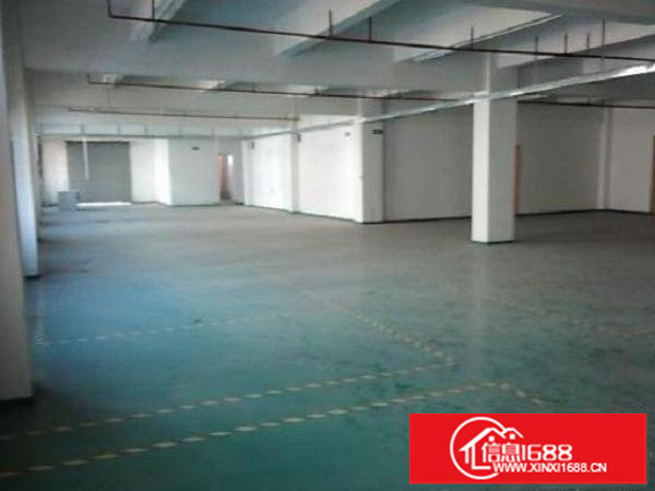 坪山新区坪山大道一楼300平方出租
