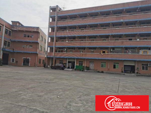 独门独院标准厂房招租空地大交通方便