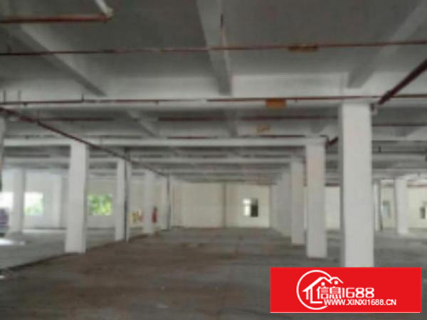 万江工业区标准一楼2000平方招租水电齐全交通方便