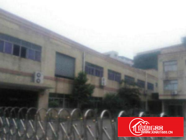 万江新出石美工业区砖墙到顶单一层700平方厂房出租