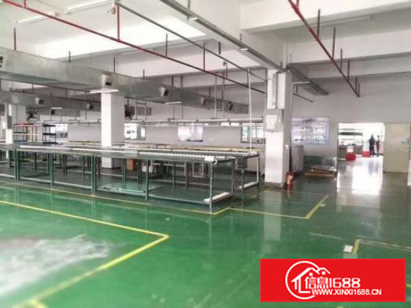 坪地年丰独院分租精装修办公室地坪漆楼上厂房850平