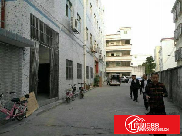 龙东新出独院厂房4600平方，原房东便宜租，