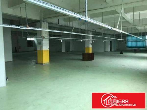 横岗坳背市场新出一楼厂房600平厂房出租