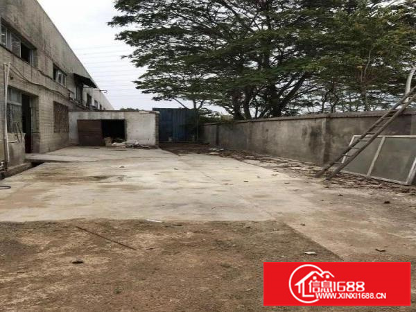 观澜牛湖大水田钢构厂房出租850平带办公室阁楼