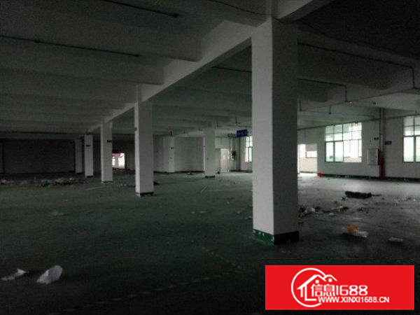 横沥田饶步村一楼标准1000平方厂房适合多种行业