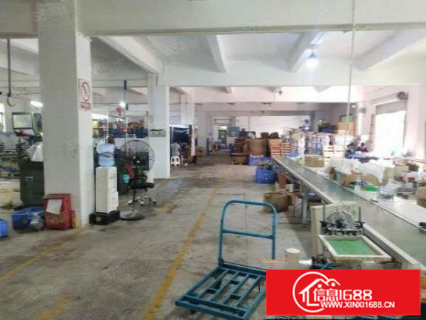 坪山坑梓新出一楼标准厂房1000平层高4.6米有消防适合加工