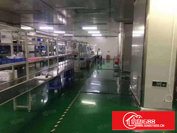 茶山新出全新独门独院原房东厂房交通便利一楼高7米牛角价格实惠