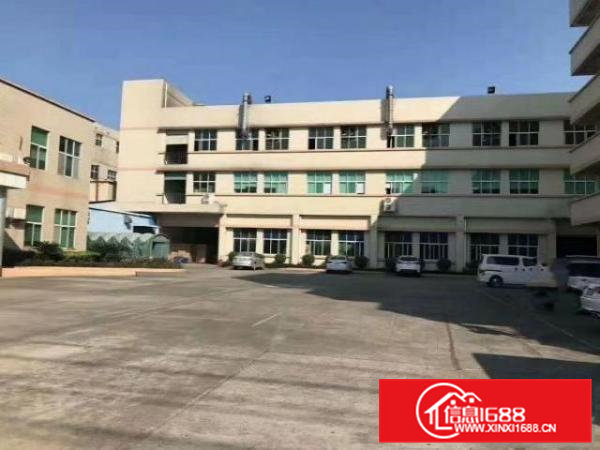 高埗标准一楼厂房1000或1500㎡出租交通方便有宿舍