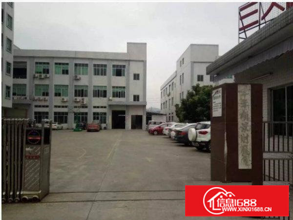 清溪独门独院厂房2500平米转租带办公室装修