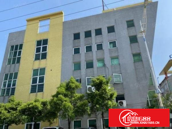 三乐路边，花园式，带装修，顺德北滘10000平方标准厂房出租