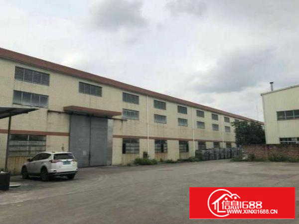 万江新出独院单一层钢结构滴水10米700平方出租、可办环评