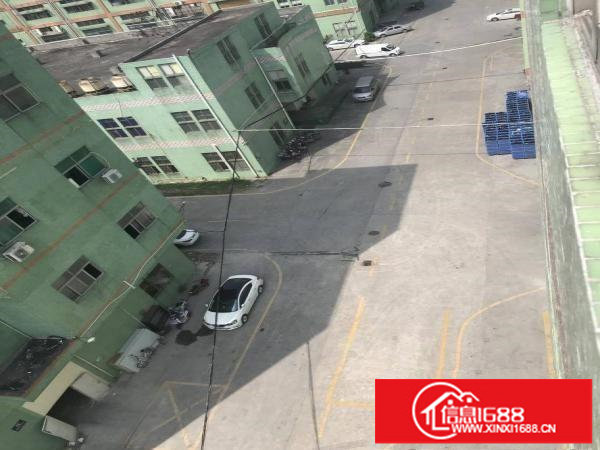 5层独栋14000平方，层高6.5米有喷淋