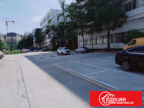 300平起分租平湖华南城旁新出原房东独栋1600平停车免费