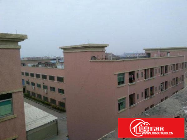 原房东独院厂房一栋三层14000平方米急租