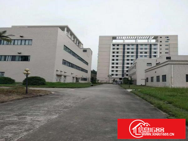 坂田天安云谷旁原房东红本厂房高新技术园区9000平,可分租