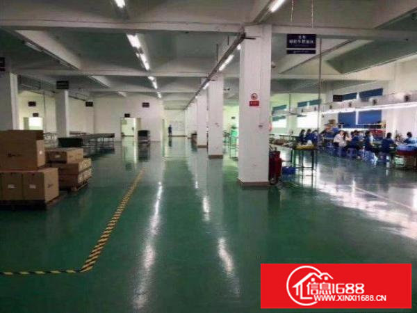 大浪服装基地精装厂房超低价出租大小面积自选可停大车