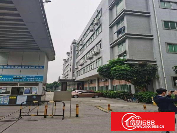 坂田南坑工业区厂房出租2万平方100平方起租仓库招租合租