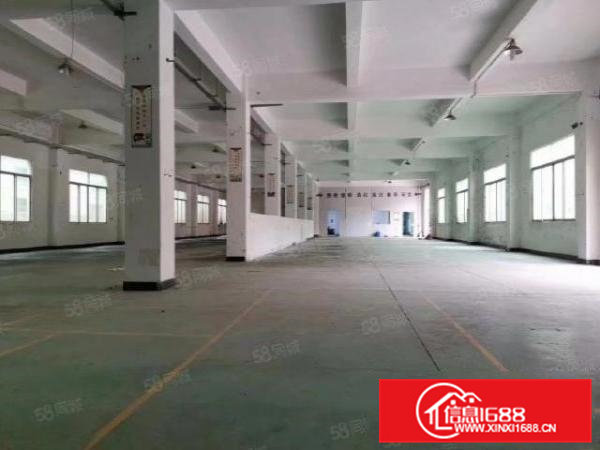 清溪镇铁松新空出原房东一楼1300平无公摊实际面积厂房出租