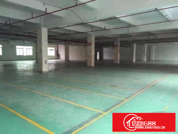 上元带红本厂房！一楼厂房350~~1000平厂房低价出租