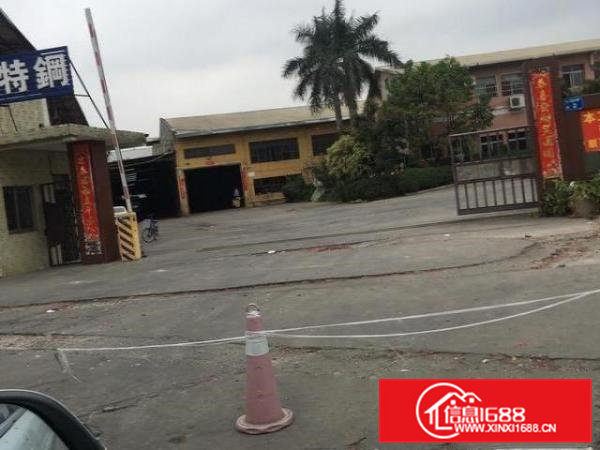 大岭山金桔原房东带航车单一层出租厂房11000平米