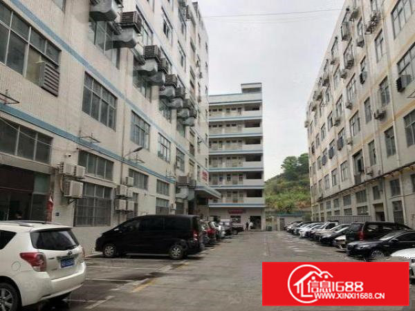 东莞凤岗碧湖大道一楼2000平厂房出租100平起分租整租