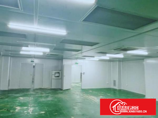 三中楼上标准厂房出租