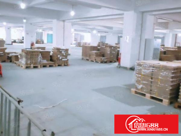 大朗工业区标准厂房1655平,带现成办公室地坪漆及消防喷淋