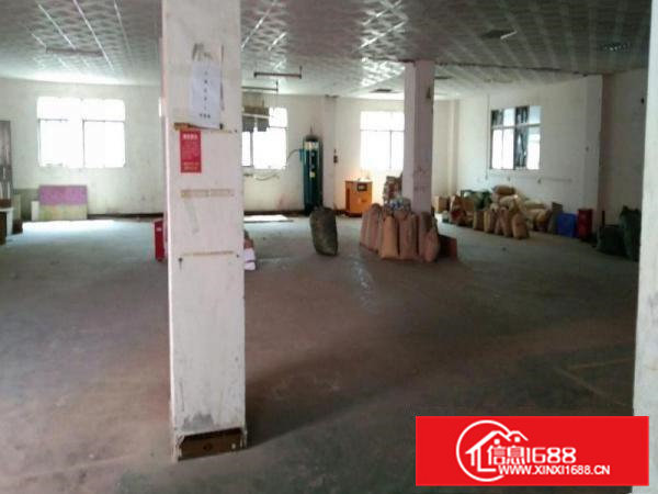 出租大岭山镇大岭山厂房