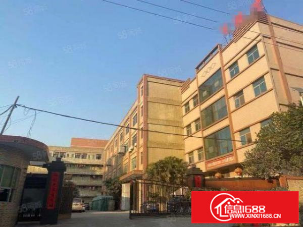 独门独院9800平方，可分租1350平方