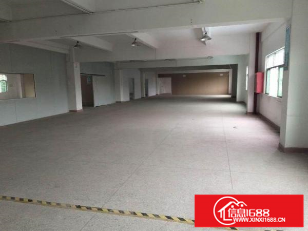 惠东白花标准独院厂房三层共5400平可分租行业不限