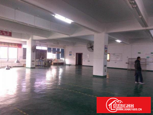 桂花路二楼厂房500平方精装修