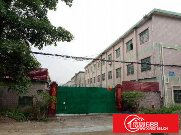 坪山坪山比亚迪附近独门独院厂房3100平米