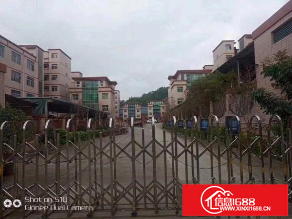 同乐高速路口爱南路独院厂房仓库招租